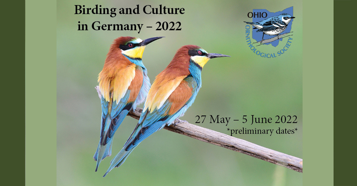 Birding Germany with the OOS in 2022!