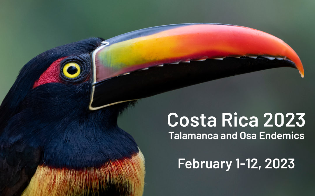 Birding Costa Rica with the OOS in 2023!