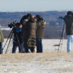 Searching for Raptors at the birding station at Jeffrey Point