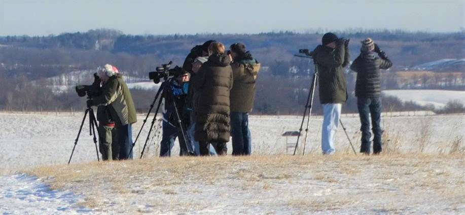 2025 Winter Raptor Extravaganza at The Wilds!