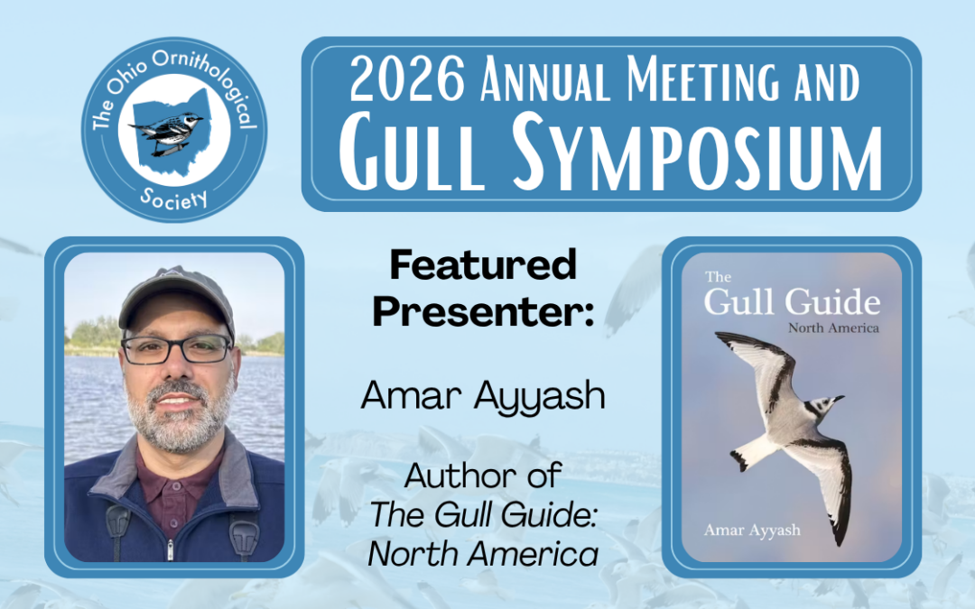 Register for the 2026 OOS Annual Meeting & Gull Symposium at Lake Erie Nature & Science Center